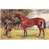 Image 3 : Set of 6 John Beer "British Race Horses" Greeting Postcards