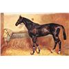 Image 5 : Set of 6 John Beer "British Race Horses" Greeting Postcards