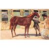 Image 6 : Set of 6 John Beer "British Race Horses" Greeting Postcards