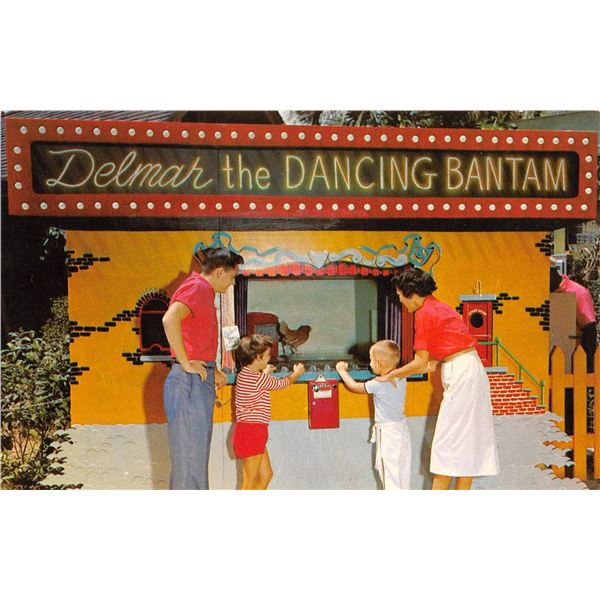 Delmar the Dancing Bantam Jukebox Advertising Postcard