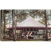Image 8 : 12 Amusement Park Ride Merry-go-round Postcards