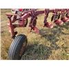 Image 4 : Massey Ferguson 880, 8 btm plow, 18 inch ,auto reset, spring trip coltors, very good condition