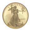 Image 1 : 2003-W $10 American Gold Eagle NGC PF69 Ultra Cameo,