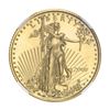 Image 1 : 2009 $10 American Gold Eagle Early Releases NGC MS70,