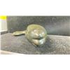 Image 3 : HAND CARVED INUIT SOAP STONE BELUGA WHALE 9"