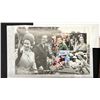 Image 3 : BARBIE SIGNATURE 70TH ANNIVERSARY QUEEN ELIZABETH II PLATINUM JUBILEE 2022 DOLL & ASSORTED QUEEN