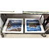 Image 1 : 2 FRAMED FELT ART PIECES