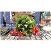 Image 8 : 5 ILLUMINATED CHRISTMAS STRUCTURES & ASSORTED CHRISTMAS DECOR ITEMS