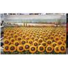 Image 1 : SUNFLOWER OIL PAINTING