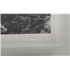 Image 2 : MICHAEL J 'QUIET' FRAMED PRINT 39/250