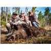 Image 3 : "Swamp Kings"-Florida Trophy Alligator & Hog Hunt