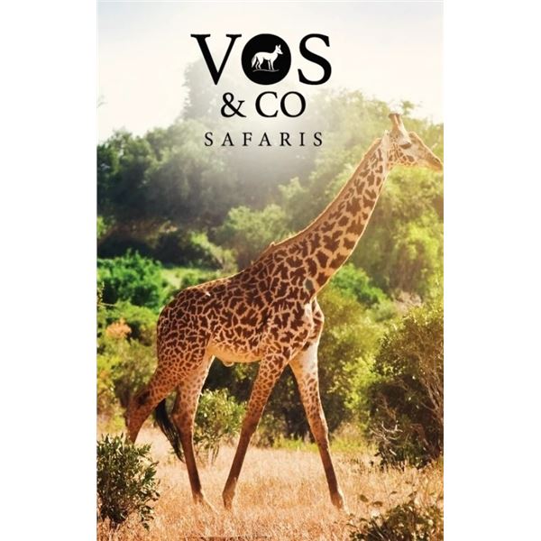 "Giants of the Savannah"-Giraffe & Hartmann's Zebra Safari