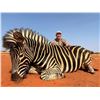 Image 2 : "Giants of the Savannah"-Giraffe & Hartmann's Zebra Safari