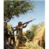 Image 1 : "Cordoba Thunder"- Argentina Dove Hunt for Six
