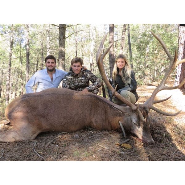 "Spanish Gold"- Gold Medal Estate Hunt