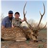 Image 2 : "Remember the Alamo" -Ultimate Texas Hunting Adventure for 2 Hunters and 2 Non-Hunters