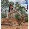 Image 3 : "Remember the Alamo" -Ultimate Texas Hunting Adventure for 2 Hunters and 2 Non-Hunters