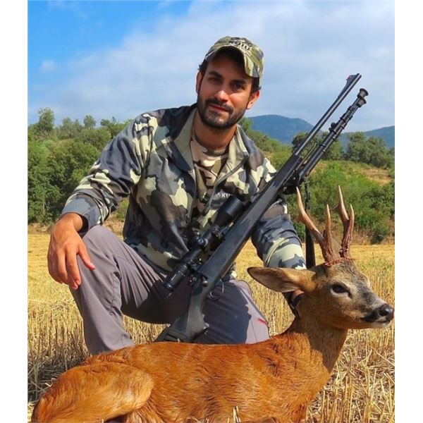 "Pyrenees Pursuit" - Spain Mountain Spot and Stalk