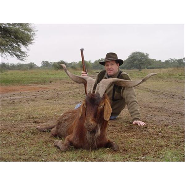 Argentina Luxury Lodge Hunt – Santiago del Estero (2 Hunters, 7 Days)