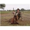 Image 1 : Argentina Luxury Lodge Hunt – Santiago del Estero (2 Hunters, 7 Days)