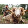 Image 2 : Argentina Luxury Lodge Hunt – Santiago del Estero (2 Hunters, 7 Days)