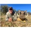 Image 2 : "Namibian Grand Slam"-Plains Game Safari for Two
