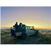 Image 3 : "Namibian Grand Slam"-Plains Game Safari for Two