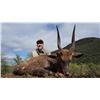 Image 1 : Hunt'sOn Safaris - Eastern Cape 5 Animals for 1 Hunter
