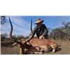 Image 2 : Hunt'sOn Safaris - Eastern Cape 5 Animals for 1 Hunter