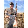 Image 1 : "Wings and Water"-Argentina Dove & Fishing for Three