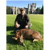 Image 1 : 7-Day Scotland hunt for 2 Roebuck for one hunter (1X1)