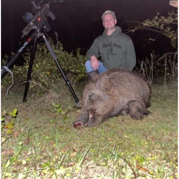 3-Day/4-Night Wild Pig hunt for 2 Hunters