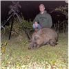 Image 1 : 3-Day/4-Night Wild Pig hunt for 2 Hunters
