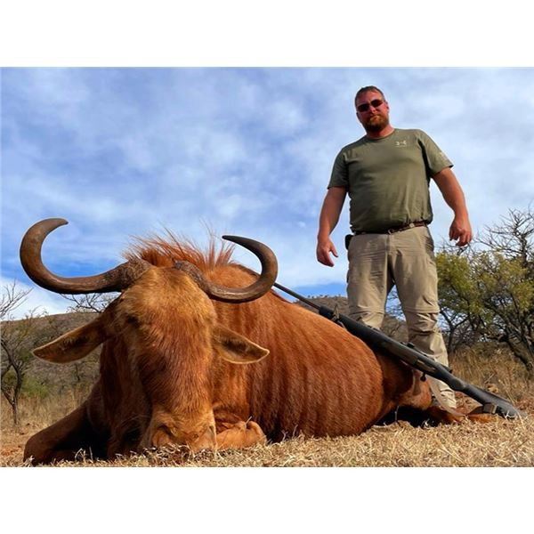 8-Day Plains game and photo Safari (includes 8 Animals) for 2 Hunters and 2 observers.