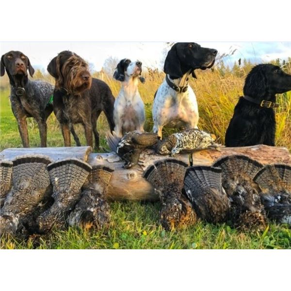 5-day Grouse Hunt for 1 hunter in Kapuskasing, Canada