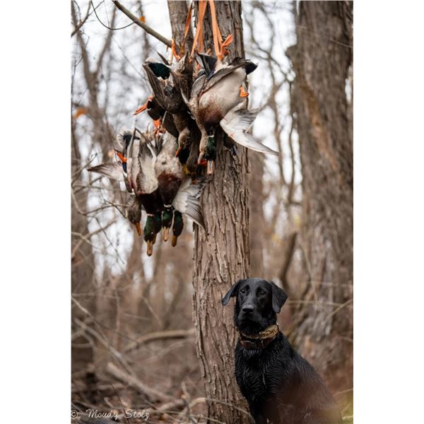 Arkansas Waterfowl Hunt for 2 Hunters