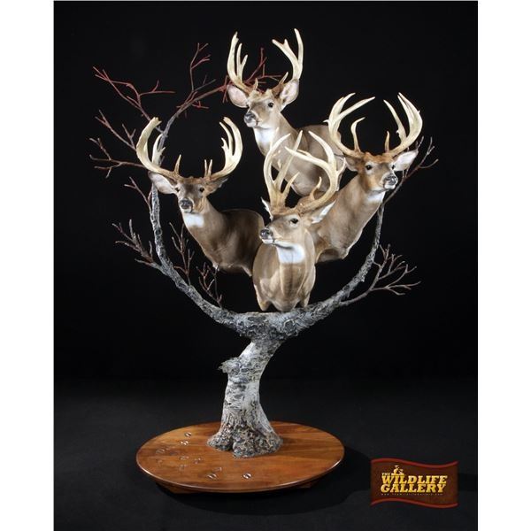 $750.00 Certificate for Taxidermy Services or Woodwork