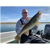 Image 2 : 3-Day/3-Night Trophy Walleye Fishing in North Dakota for 2 Guests!