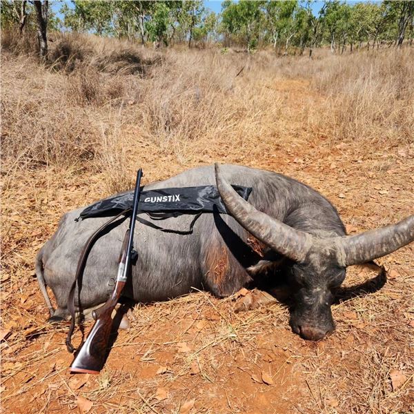 5 day hunt for 1 bull water buffalo and 1 cow water buffalo 	for 1 hunter and 1 observer