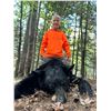 Image 2 : 3-day hunt for black bear with hounds in the Upper Peninsula
