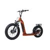 Image 1 : Bakcou Timberwolf All Wheel Drive Scooter - Gray