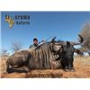 Image 2 : 10-day South Africa Plains Game safari for 2 hunters with 2 trophy animals per hunter