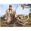 Image 4 : 10-day South Africa Plains Game safari for 2 hunters with 2 trophy animals per hunter