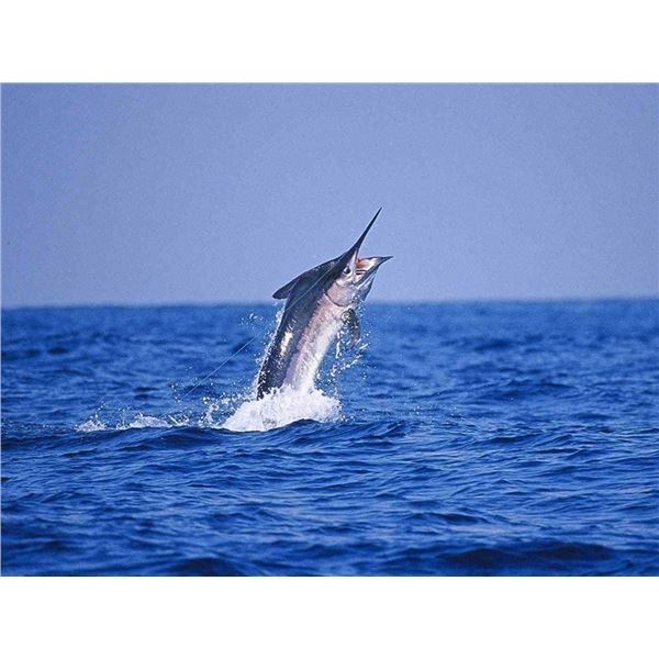 5-Nights/6-Days Epic Fishing 