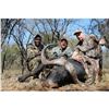 Image 1 : 2 Hunters and 2 non- hunters - 7 Days in Limpopo.  Includes 1 x Buffalo Cow and 1 Blesbok