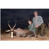 Image 2 : 2 Hunters and 2 non- hunters - 7 Days in Limpopo.  Includes 1 x Buffalo Cow and 1 Blesbok