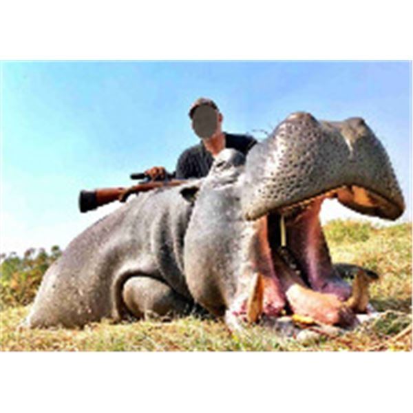 4 - Days for 1 Hunter - Trophy Fee Included for a non-trophy Hippo (can be upgraded)