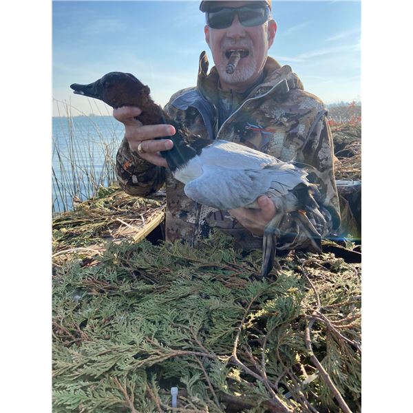 1-day (or limit) Waterfowl Hunt up to 3 hunters
