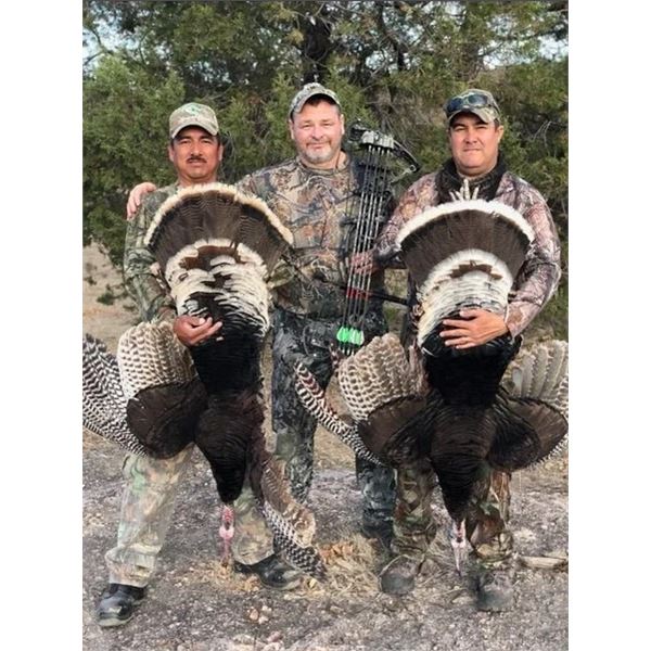 Sonora Mexico Goulds Turkey for 2 Hunters (2x1) - 3 Days/4 Nights