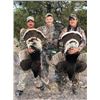 Image 1 : Sonora Mexico Goulds Turkey for 2 Hunters (2x1) - 3 Days/4 Nights